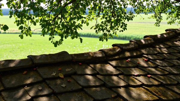 Top astuces pour une toiture durable et esthétiquement plaisante